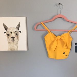 Hollister crop cami extra small
